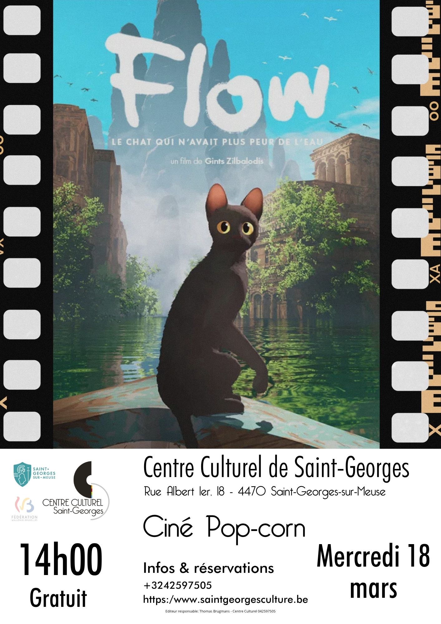 Flow, le chat qui n'avait plus peur de l'eau